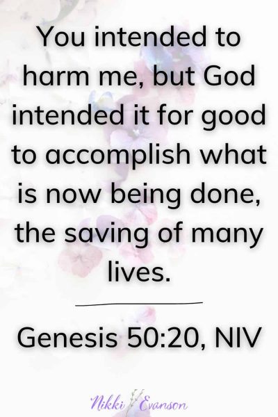 Your Story Has Hope: 4 Examples of Redemption in the Bible - Nikki Evanson