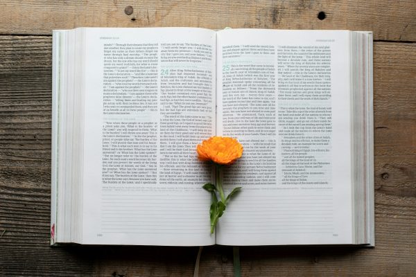 How to Respond to the Testing of Your Faith