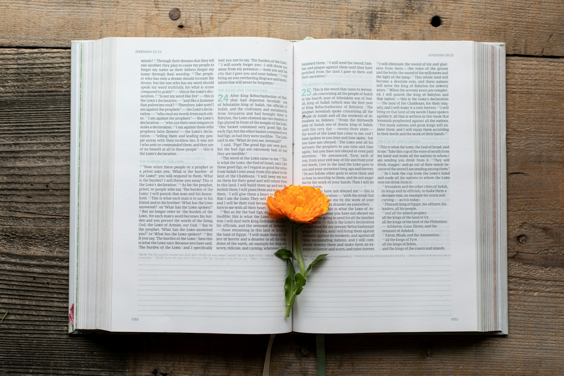 How to Respond to the Testing of Your Faith