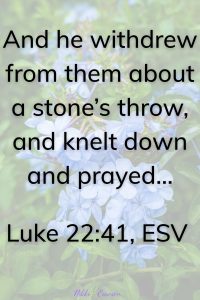 Luke 22:41