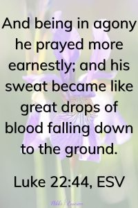 Luke 22:44